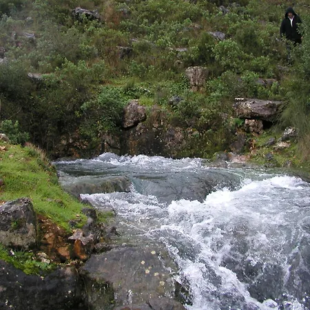 Villa Singer's Lounge *