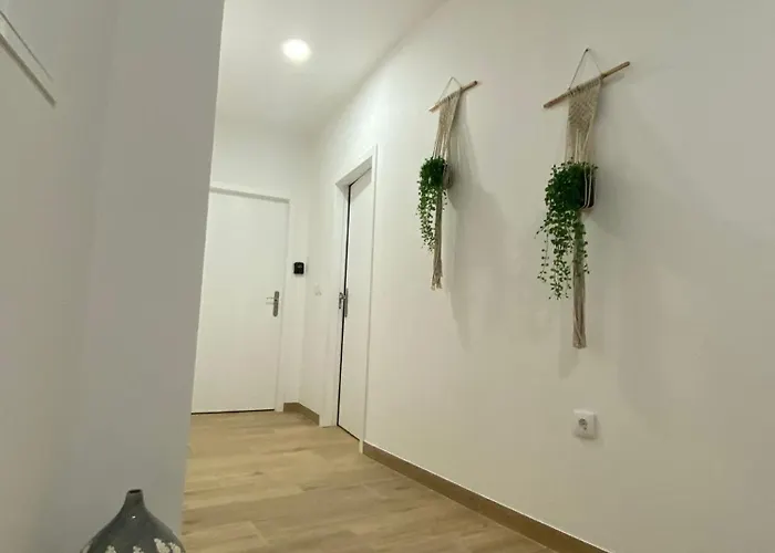 Singer's Lounge فيلة Porto de Mós