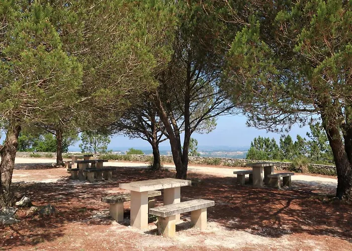 Singer's Lounge فيلة Porto de Mós