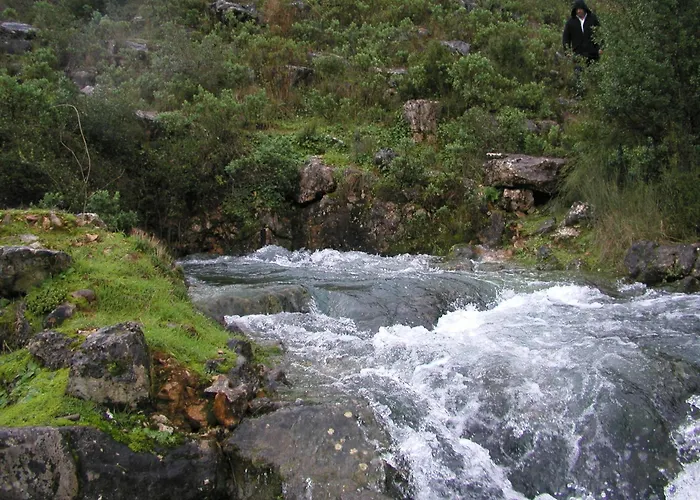 Вилла Singer's Lounge *