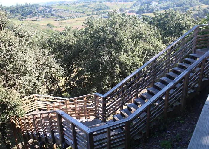 Singer's Lounge فيلة